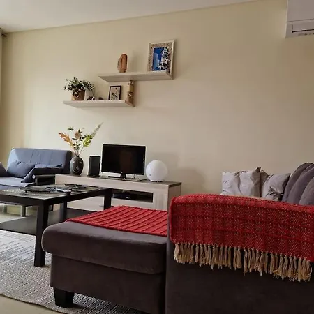 T1 60 Sq M For Rent Next To The Bay *